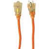 AXIS 45509 Indoor/Outdoor Workshop Extension Cord (50ft)