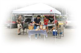 Smart Shade Canopy 10 x 10