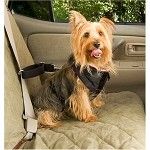 Car Safety Harnesses For Dogs (Size: Small)