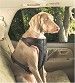 Car Safety Harnesses For Dogs (Size: Ex-Large)