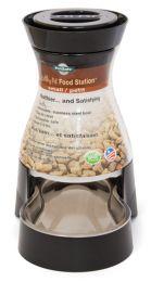 PetSafe Healthy Pet Food Station (Size: Small)